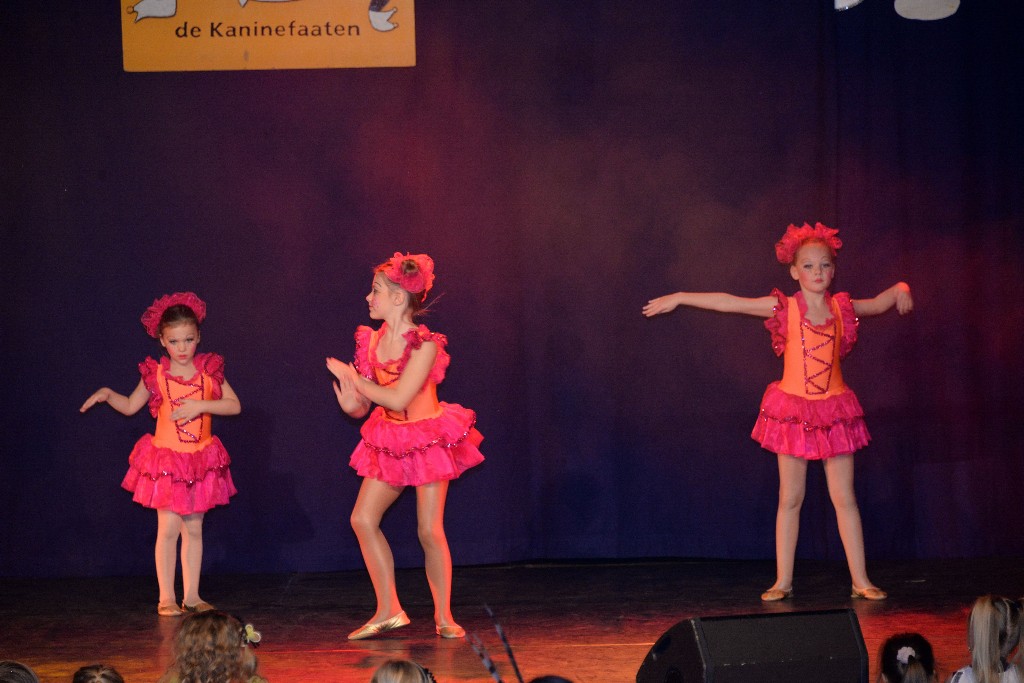 ../Images/Dansmariekefestival 2017 268.jpg